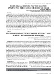 Nghiên cứu đặc điểm hình thái trần sàng trên cắt lớp vi tính ở bệnh nhân hội chứng mũi xoang