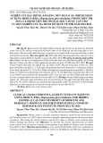 Nghiên cứu đặc điểm lâm sàng, mức độ lo âu ở bệnh nhân sử dụng Medlo (PHAs, Dipotassium glycyrrhizinate) trong điều trị zona tại Bệnh viện Trường Đại học Y Dược Cần Thơ và Viện nghiên cứu da thẩm mỹ quốc tế FOB năm 2022-2024