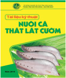 Tài liệu kỹ thuật Nuôi cá thát lát cườm - Trung tâm Khuyến nông - Khuyến ngư tỉnh Hậu Giang