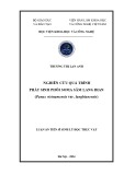 Luận án Tiến sĩ Sinh lý học thực vật: Nghiên cứu quá trình phát sinh phôi soma sâm Lang Bian (Panax vietnamensis var. langbianensis)