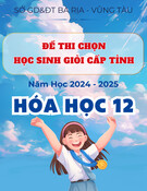 Đề thi Hóa học lớp 12 năm 2024-2025 cấp tỉnh - Sở GD&ĐT Bà Rịa - Vũng Tàu (Đề minh họa)