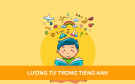 Basic Grammar in use: Expressions of quantity (Từ chỉ định lượng)