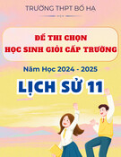 Đề thi học sinh giỏi Lịch sử lớp 11 năm 2024-2025 trường THPT Bố Hạ, Bắc Giang