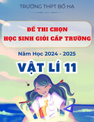 Đề thi học sinh giỏi Vật lý lớp 11 năm 2024-2025 trường THPT Bố Hạ, Bắc Giang