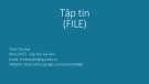 Bài giảng Kỹ thuật lập trình: Tập tin - Trịnh Tấn Đạt  (2024)