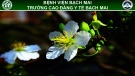 Bài giảng Kỹ thuật thay băng vết thương