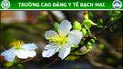 Bài giảng Kĩ thuật tiêm dưới da