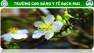Bài giảng Kỹ thuật chăm sóc răng miệng đặc biệt