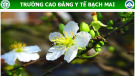 Bài giảng Kỹ thuật đặt thông tiểu lấy nước tiểu làm xét nghiệm