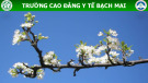 Bài giảng Kỹ thuật ghi điện tim