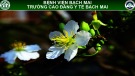 Bài giảng Kỹ thuật thay băng vết thương có ống dẫn lưu