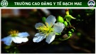 Bài giảng Kỹ thuật truyền máu và chế phẩm của máu