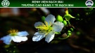 Bài giảng Phụ giúp bác sĩ chọc dịch não tủy – màng bụng