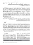 Nghiên cứu ứng dụng Phytosome Curcumin vào viên nang cứng