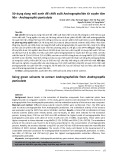 Sử dụng dung môi xanh để chiết xuất Andrographolide từ xuyên tâm liên - Andrographis paniculata