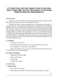 Kỹ thuật phục hồi chức năng cơ đáy chậu (sàn chậu) trong điều trị tiểu tiện không tự chủ bằng phản hồi sinh học (biofeedback)