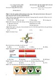Đề thi thử tốt nghiệp THPT môn Sinh học năm 2025 có đáp án - Trường TH-THCS-THPT Lê Qúy Đôn, Đồng Nai