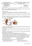 Đề thi học kì 1 môn Sinh học lớp 11 năm 2024-2025 - Trường THPT Thị xã Quảng Trị