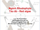 Bài giảng Thực vật học: Ngành Rhodophyta Tảo đỏ - Red algae - Lưu Thị Thanh Nhàn