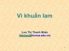 Bài giảng Thực vật học: Vi khuẩn lam - Lưu Thị Thanh Nhàn