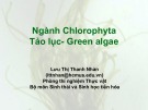 Bài giảng Thực vật học: Ngành Chlorophyta Tảo lục- Green algae - Lưu Thị Thanh Nhàn