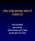 Bài giảng Công nghệ sinh học phân tử vi sinh vật - Trần Linh Thước