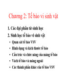 Bài giảng Vi sinh vật học cơ sở: Chương 2 - PGS. TS. Nguyễn Đức Hoàng