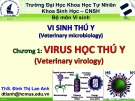 Bài giảng Vi sinh thú y (Phần 1): Chương 1 - ThS. Đinh Thị Lan Anh