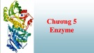 Bài giảng Sinh hóa đại cương - Chương 5: Enzyme