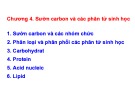 Bài giảng Sinh đại cương 1: Chương 4 - Sườn carbon và các phân tử sinh học