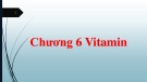 Bài giảng Sinh hóa đại cương - Chương 6: Vitamin
