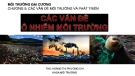 Bài giảng Môi trường đại cương: Các vấn đề môi trường và phát triển - ThS. Hoàng Thị Phương Chi