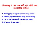 Bài giảng Sinh đại cương 1: Chương 6 - Sự trao đổi vật chất qua các màng tế bào