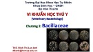 Bài giảng Vi sinh thú y (Phần 2): Chương 2 - ThS. Đinh Thị Lan Anh