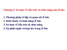 Bài giảng Sinh đại cương 1: Chương 5 - Sơ lược về cấu trúc và chức năng của tế bào