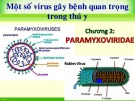 Bài giảng Vi sinh thú y (Phần 1): Chương 2 - ThS. Đinh Thị Lan Anh