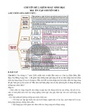 Vở ghi bài học sinh Chuyên đề Sinh học 12: Ôn tập Chuyên đề 2 (Sách Chân trời sáng tạo)