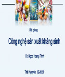 Bài giảng Công nghệ sản xuất kháng sinh: Chương 8 - Trịnh Ngọc Hoàng