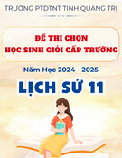 Đề thi học sinh giỏi Lịch sử lớp 11 năm 2024-2025 có đáp án trường PTDTNT Tỉnh Quảng Trị