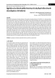 Nghiên cứu thành phần hóa học lá cây Bạch đàn chanh (Eucalyptus citriodora)