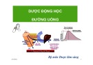 Bài giảng Dược động học đường uống