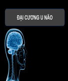 Bài giảng Đại cương u não