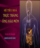 Bài giảng Hệ tiêu hoá trực tràng ống hậu môn - TS. BS Võ Văn Hải
