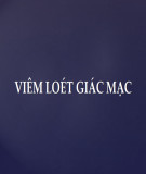 Bài giảng về Viêm loét giác mạc