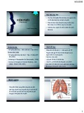 Bài giảng Viêm phổi (Pneumonia) - Nguyễn Hương Giang