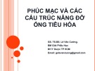 Bài giảng Phúc mạc và các cấu trúc nâng đỡ ống tiêu hóa - GS. TS.BS. Lê Văn Cường
