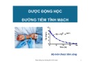 Bài giảng Dược động học đường tiêm tĩnh mạch