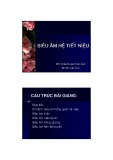 Bài giảng Siêu âm hệ tiết niệu