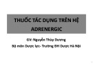 Bài giảng Thuốc tác dụng trên hệ adrenergic - Nguyễn Thùy Dương