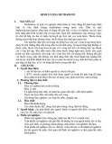 Định lượng Methadone